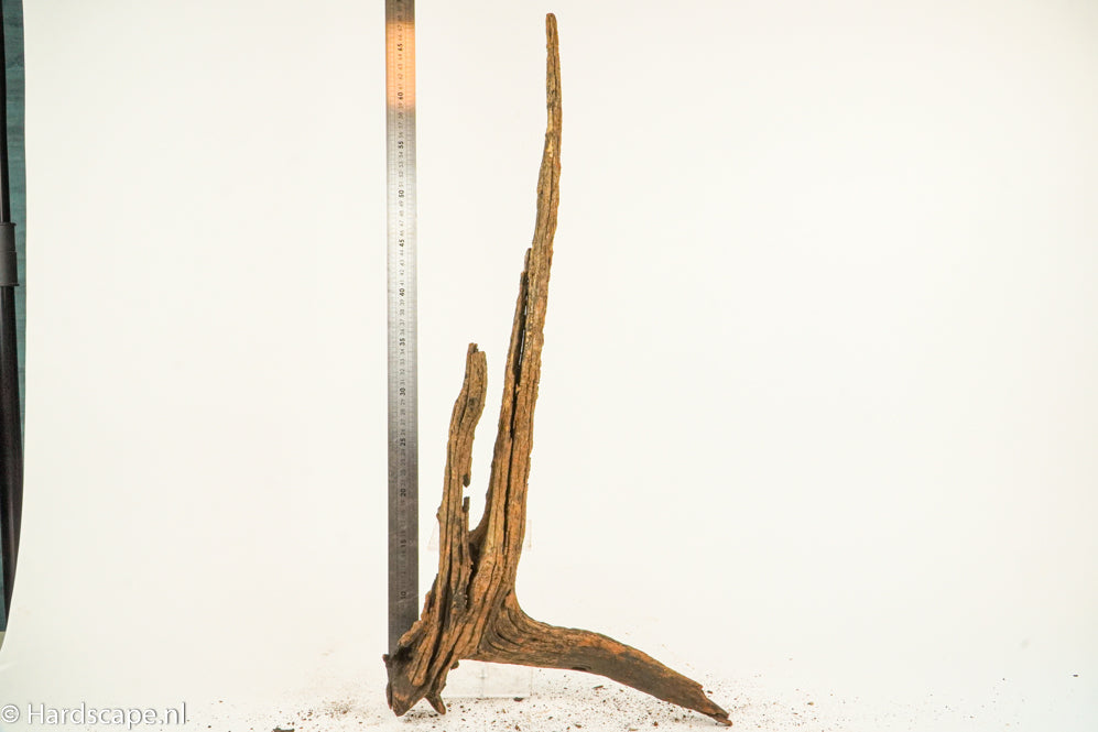 Driftwood XL132 - Hardscape.nl