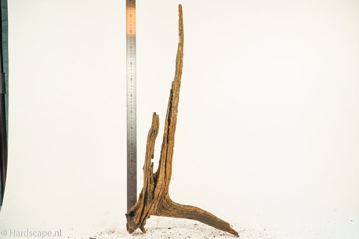 Driftwood XL132 - Hardscape.nl
