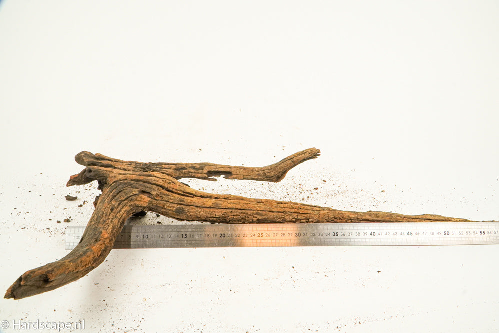 Driftwood XL132 - Hardscape.nl