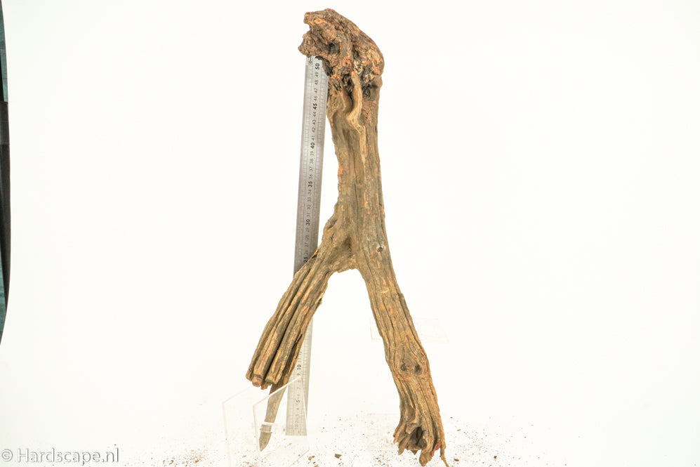Driftwood XL133 - Hardscape.nl