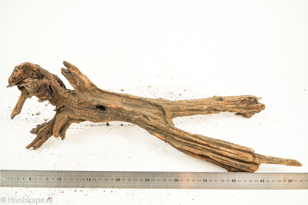 Driftwood XL133 - Hardscape.nl