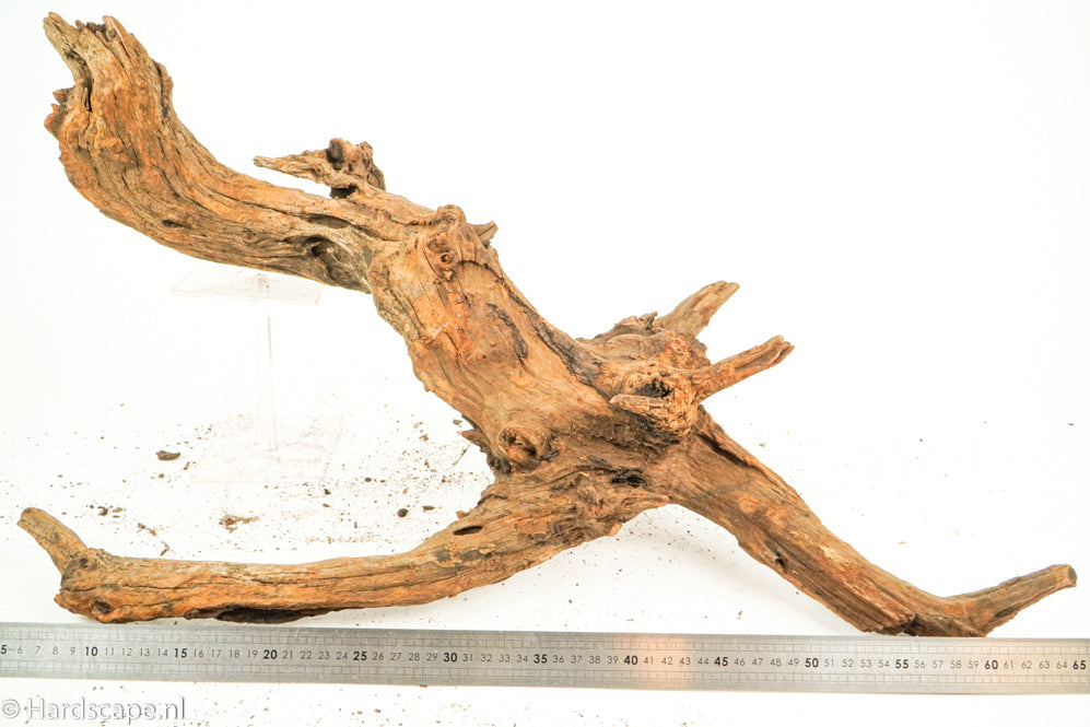 Driftwood XL134 - Hardscape.nl