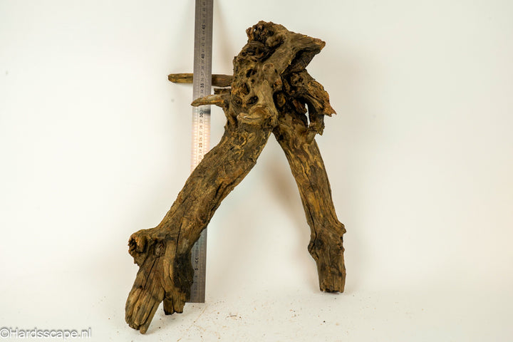 Driftwood XL145 - Hardscape.nl