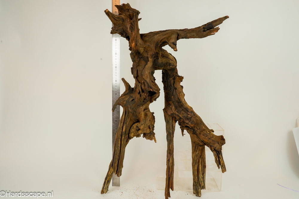 Driftwood XL146 - Hardscape.nl