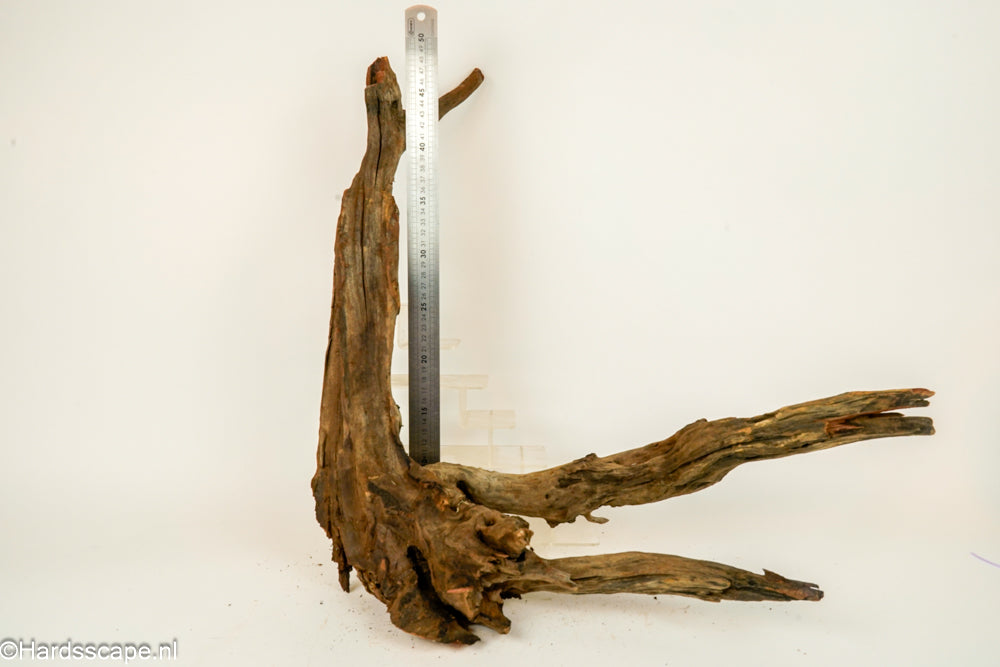 Driftwood XL147 - Hardscape.nl