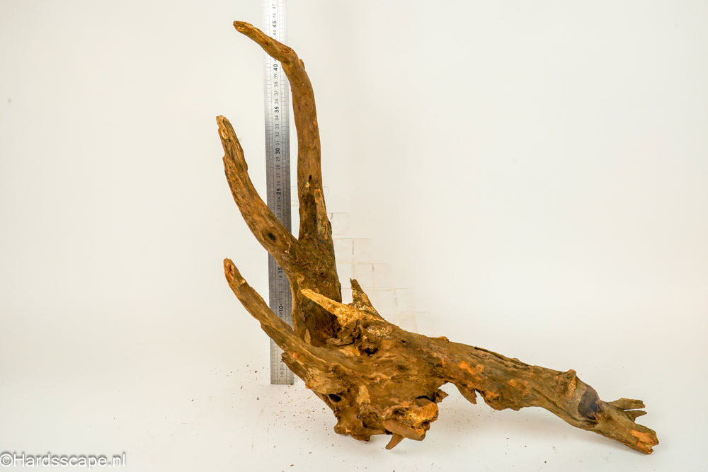 Driftwood XL148 - Hardscape.nl