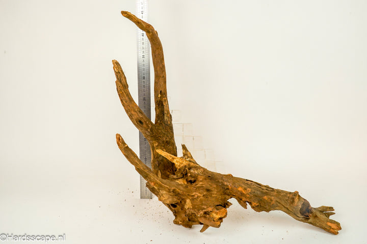 Driftwood XL148 - Hardscape.nl
