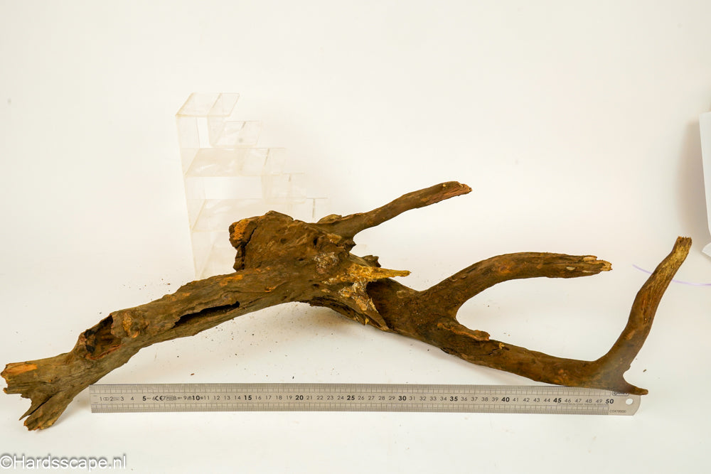 Driftwood XL148 - Hardscape.nl