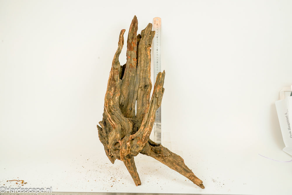 Driftwood XL151 - Hardscape.nl