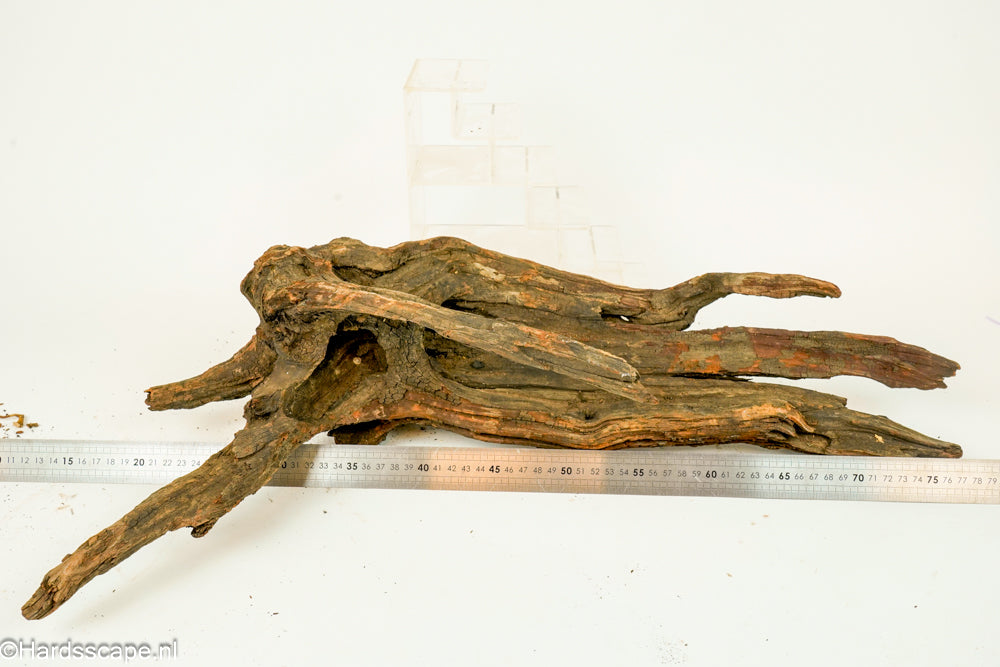 Driftwood XL151 - Hardscape.nl