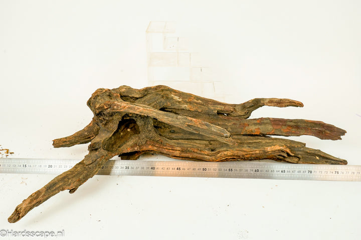 Driftwood XL151 - Hardscape.nl