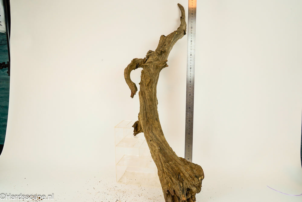 Driftwood XL152 - Hardscape.nl