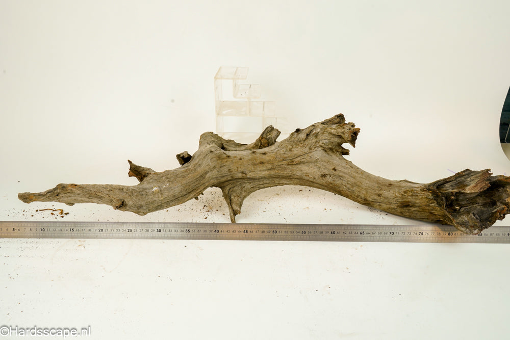 Driftwood XL152 - Hardscape.nl