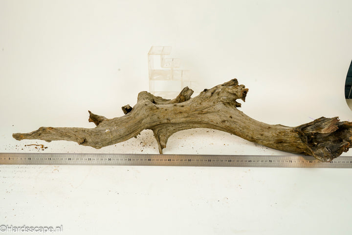 Driftwood XL152 - Hardscape.nl