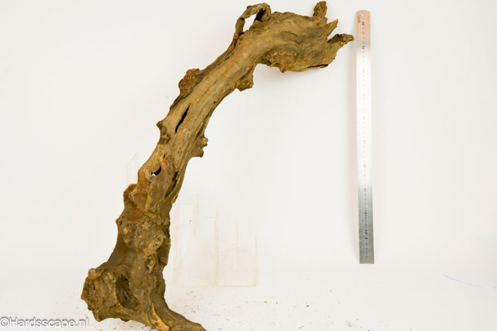 Driftwood XL153 - Hardscape.nl
