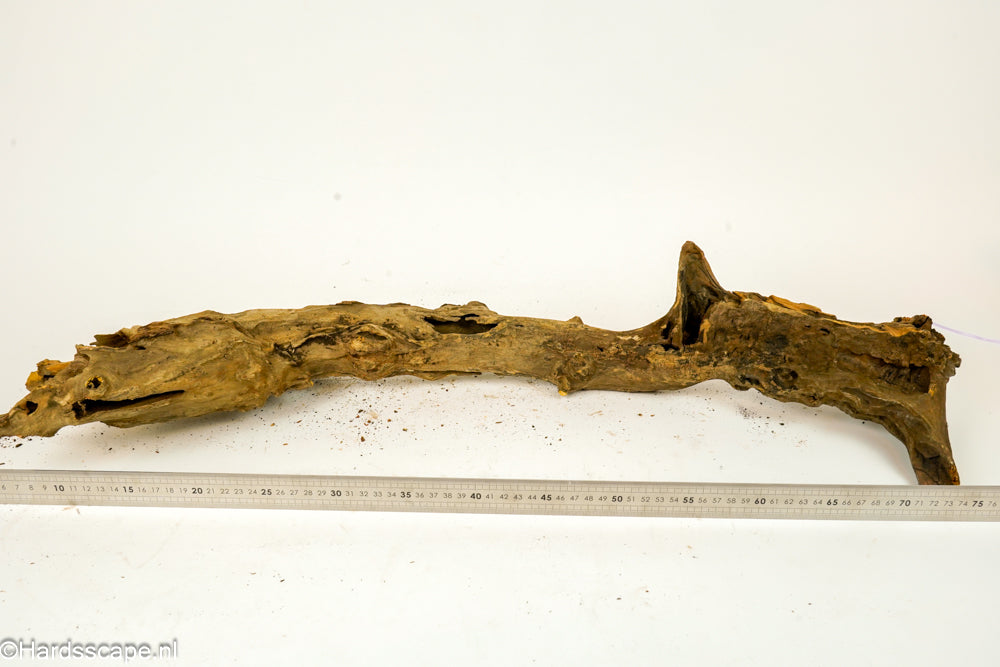 Driftwood XL153 - Hardscape.nl
