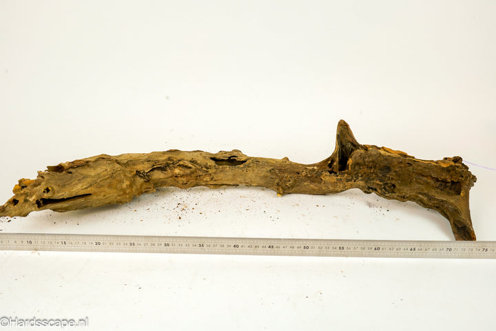 Driftwood XL153 - Hardscape.nl