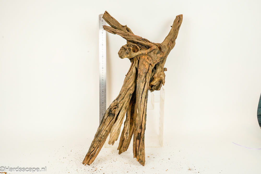 Driftwood XL154 - Hardscape.nl