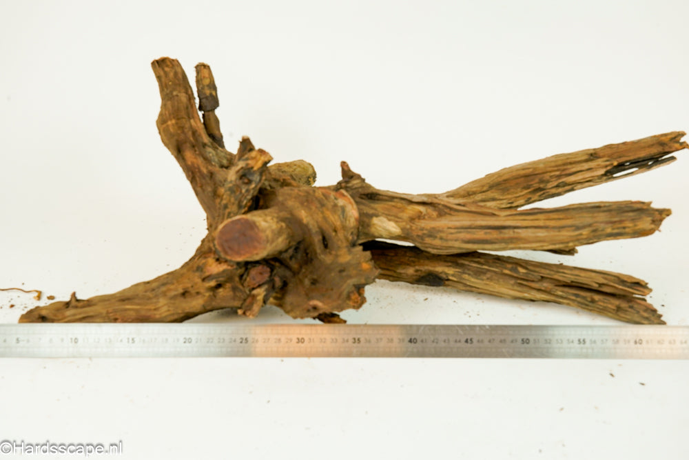 Driftwood XL154 - Hardscape.nl