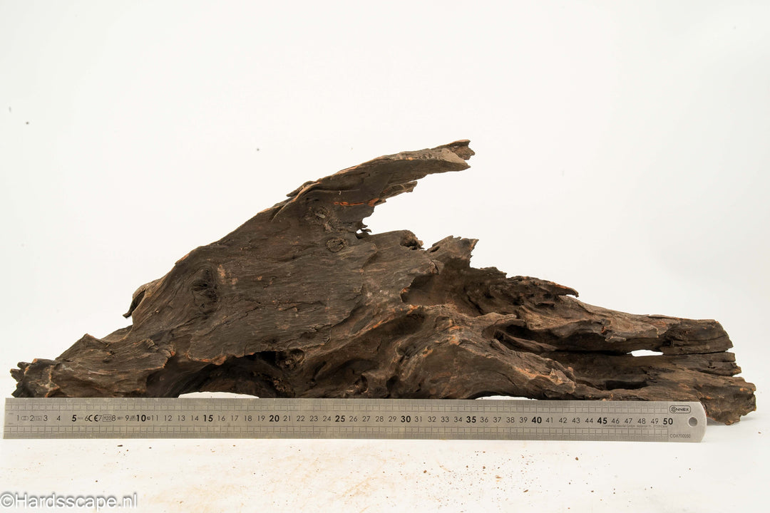 Driftwood XL 166
