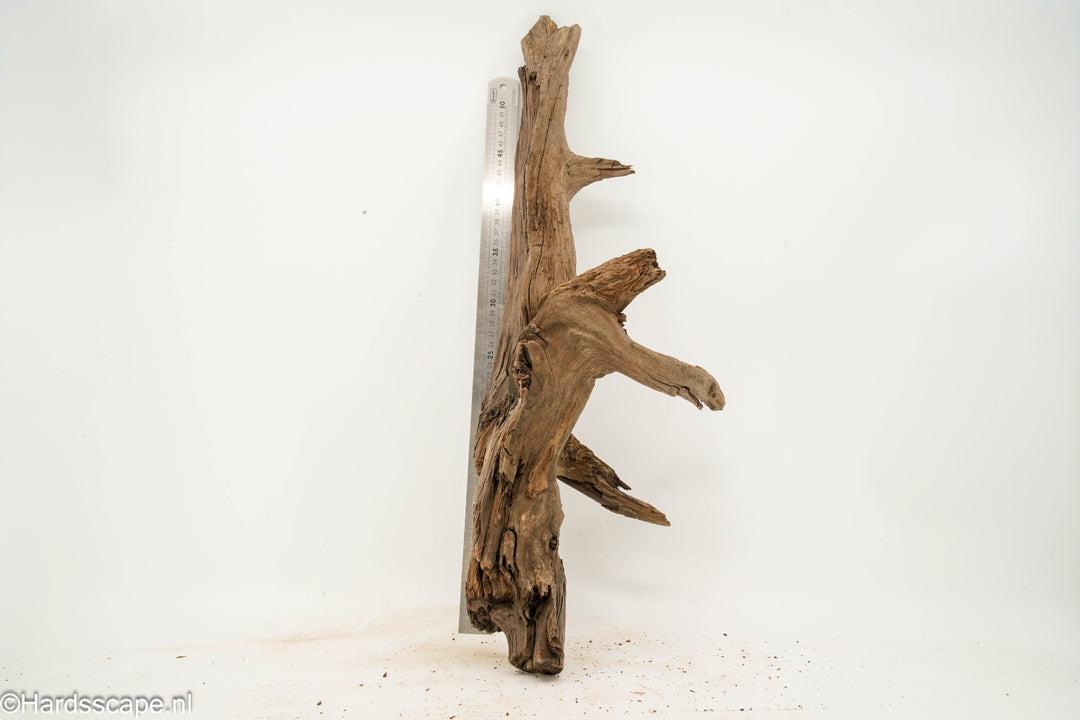 Driftwood XL 167