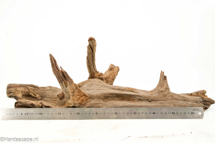 Driftwood XL 167