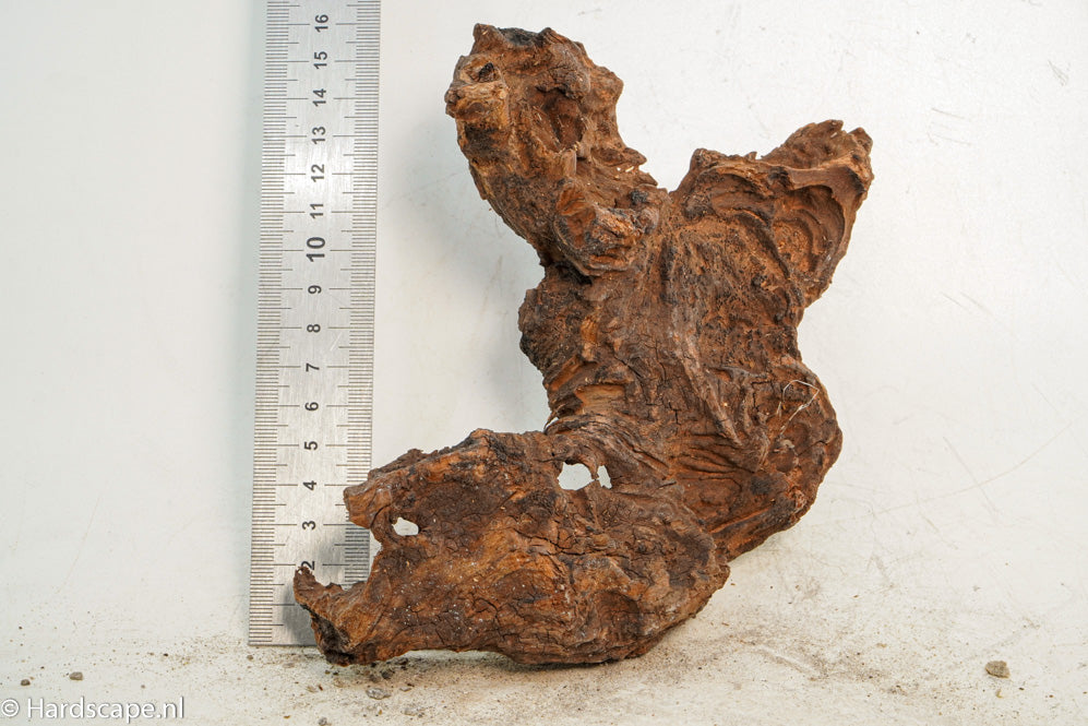 Driftwood S217 - Hardscape.nl