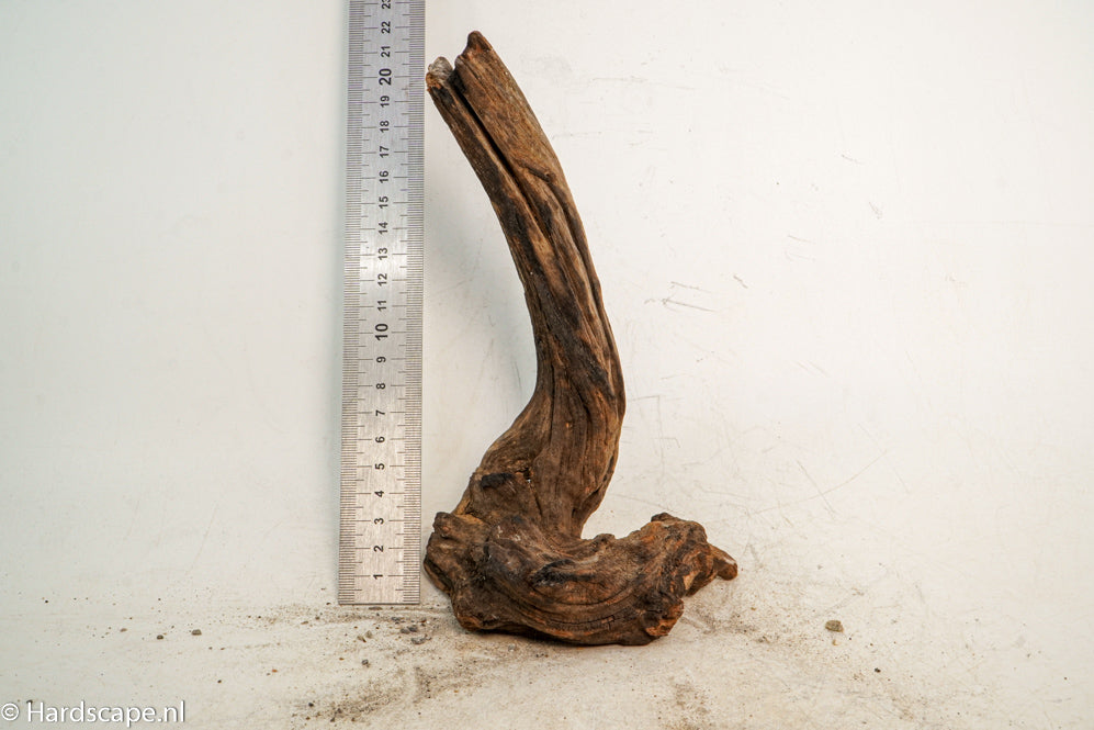 Driftwood S218 - Hardscape.nl