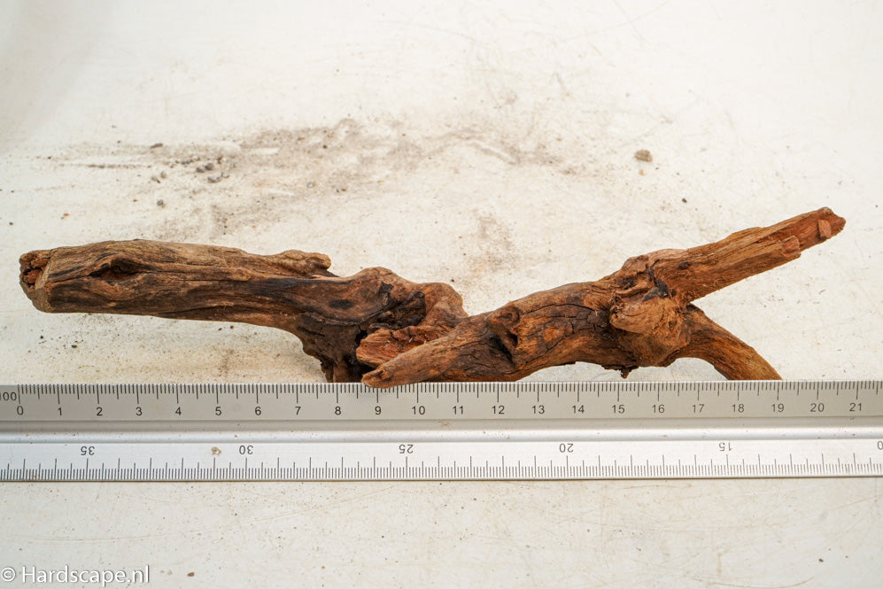 Driftwood S219 - Hardscape.nl