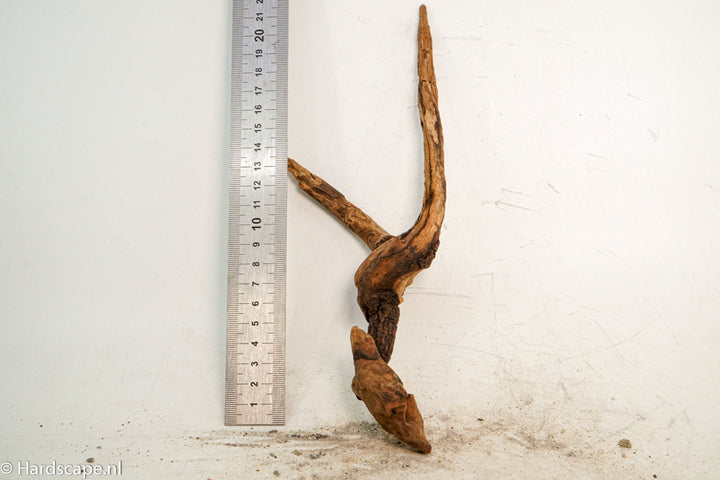 Driftwood S220 - Hardscape.nl