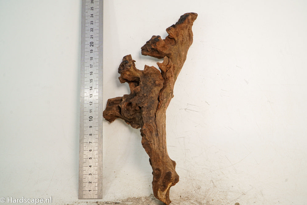 Driftwood S221 - Hardscape.nl
