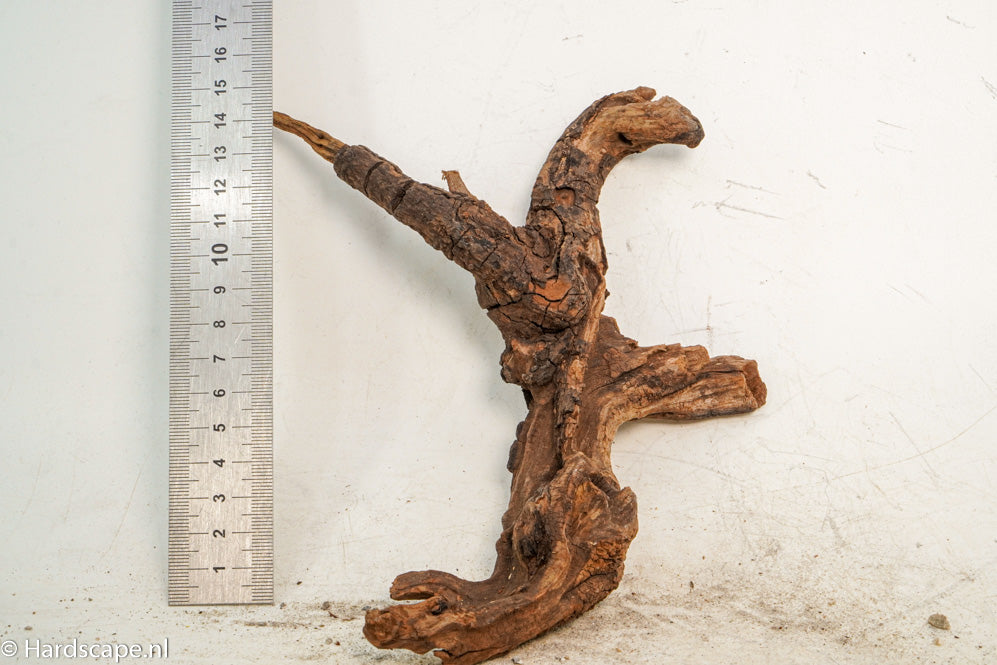 Driftwood S222 - Hardscape.nl