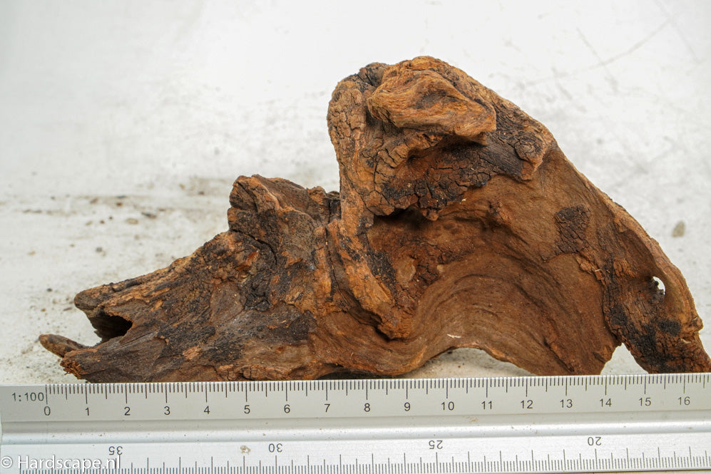 Driftwood S228 - Hardscape.nl