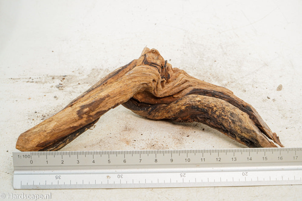 Driftwood S229 - Hardscape.nl
