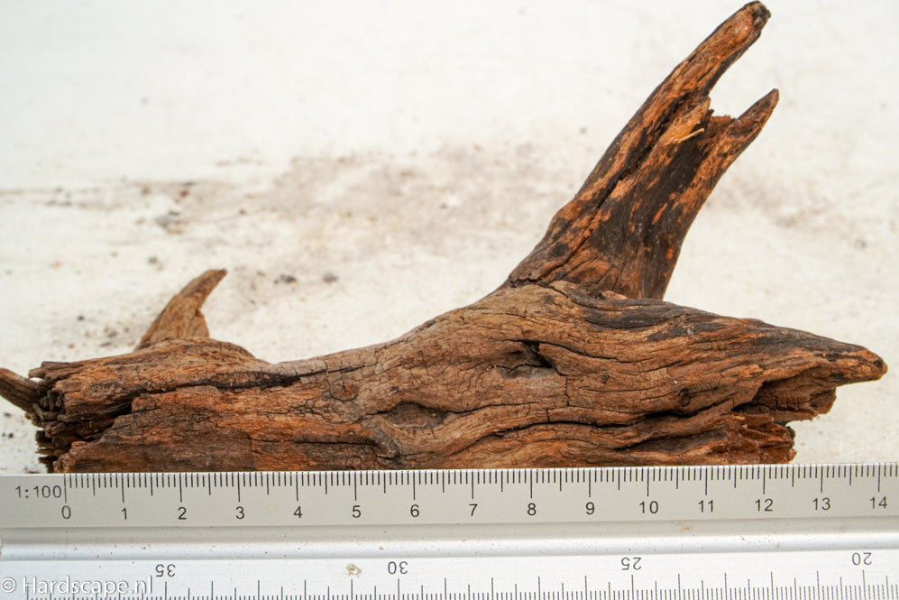 Driftwood S230 - Hardscape.nl