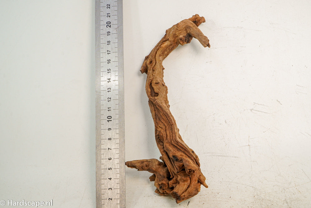 Driftwood S232 - Hardscape.nl