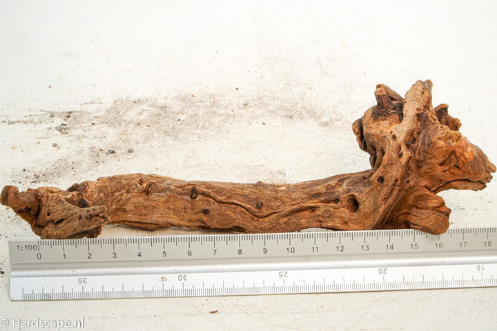 Driftwood S232 - Hardscape.nl