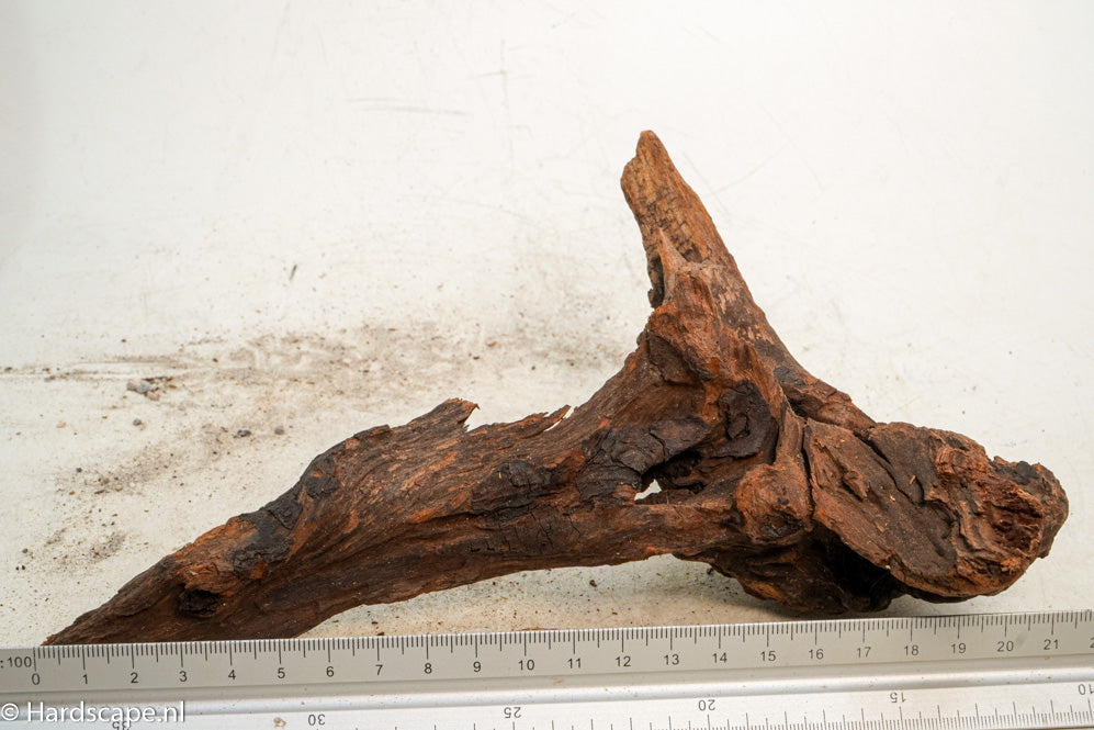 Driftwood S235 - Hardscape.nl