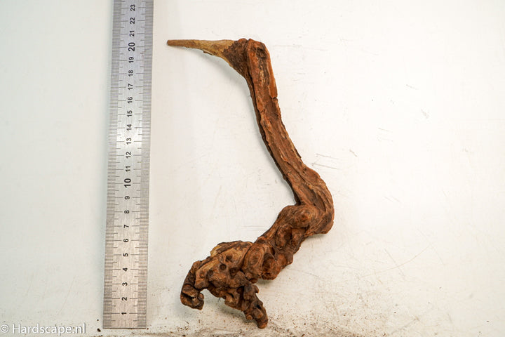 Driftwood S237 - Hardscape.nl