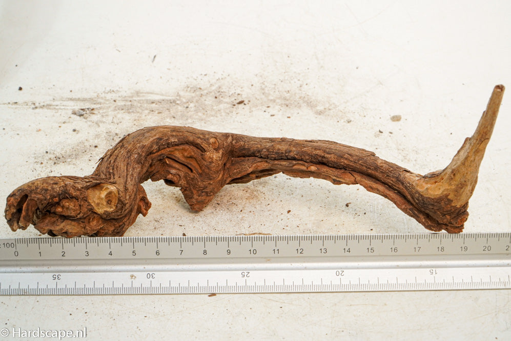 Driftwood S237 - Hardscape.nl