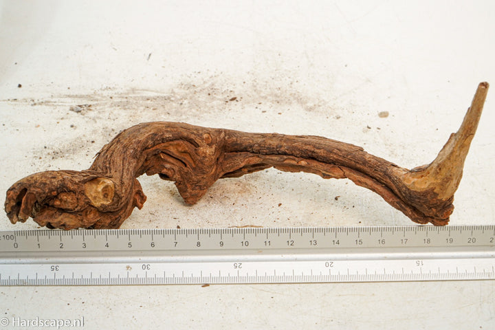 Driftwood S237 - Hardscape.nl