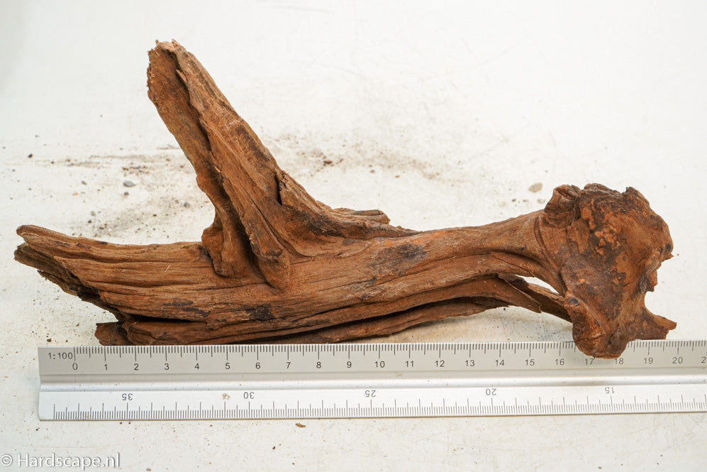 Driftwood S241 - Hardscape.nl