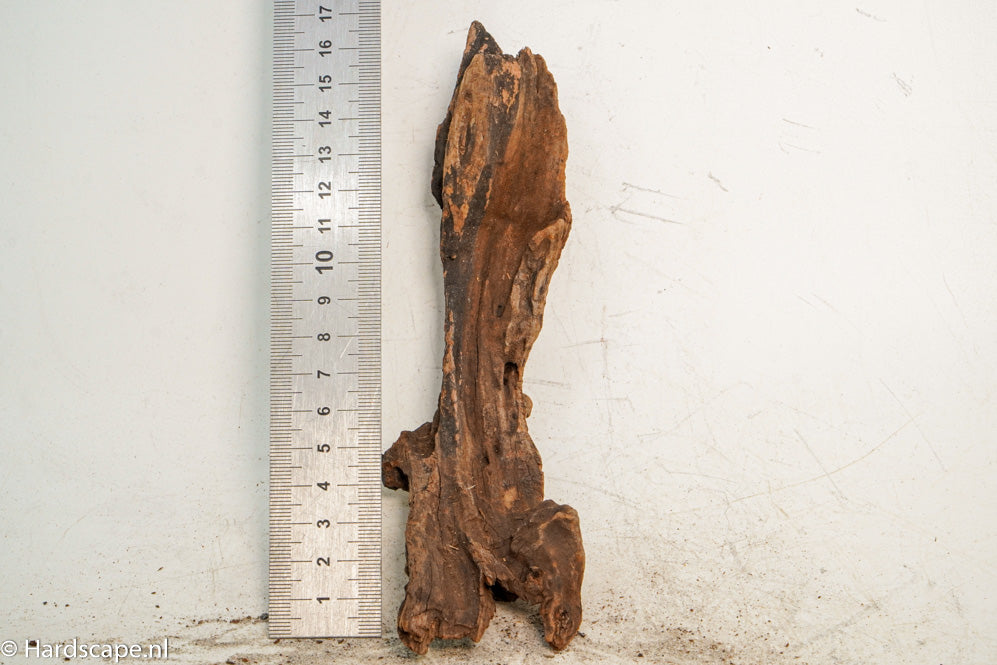 Driftwood S245 - Hardscape.nl