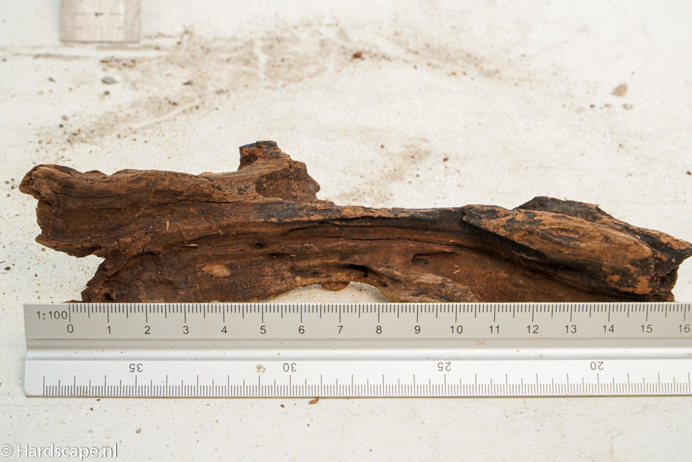 Driftwood S245 - Hardscape.nl