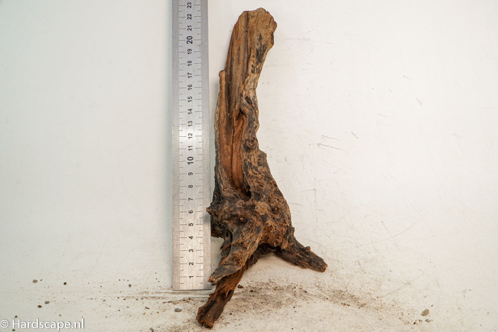Driftwood S247 - Hardscape.nl