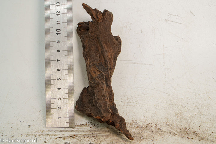 Driftwood S248