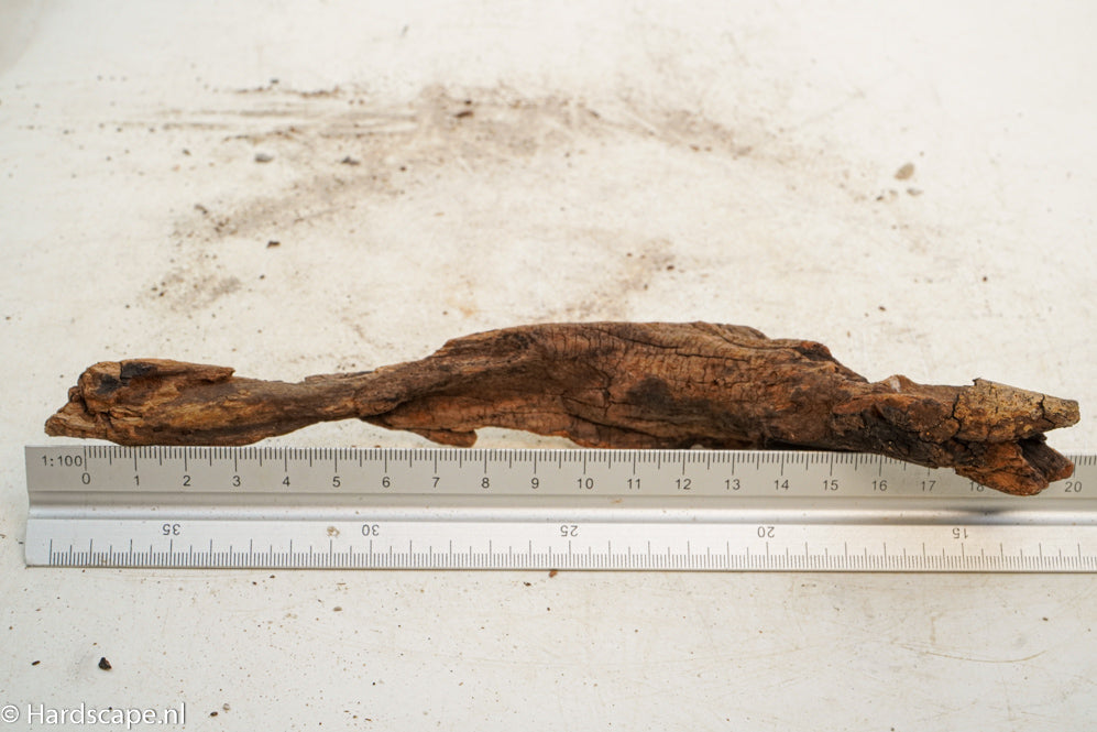Driftwood S249 - Hardscape.nl