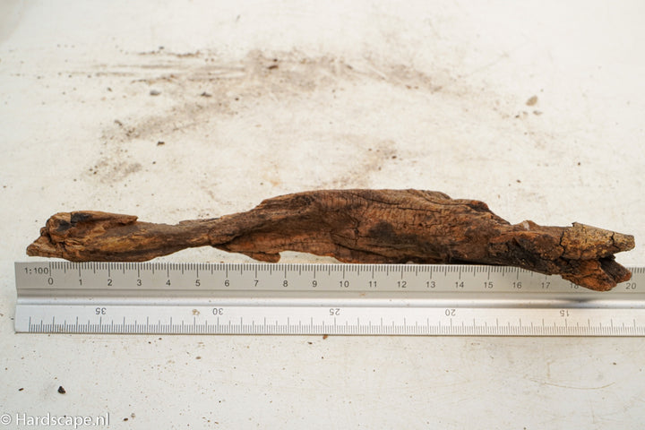 Driftwood S249 - Hardscape.nl