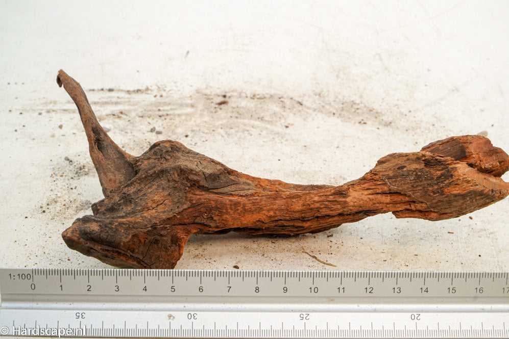 Driftwood S250 - Hardscape.nl
