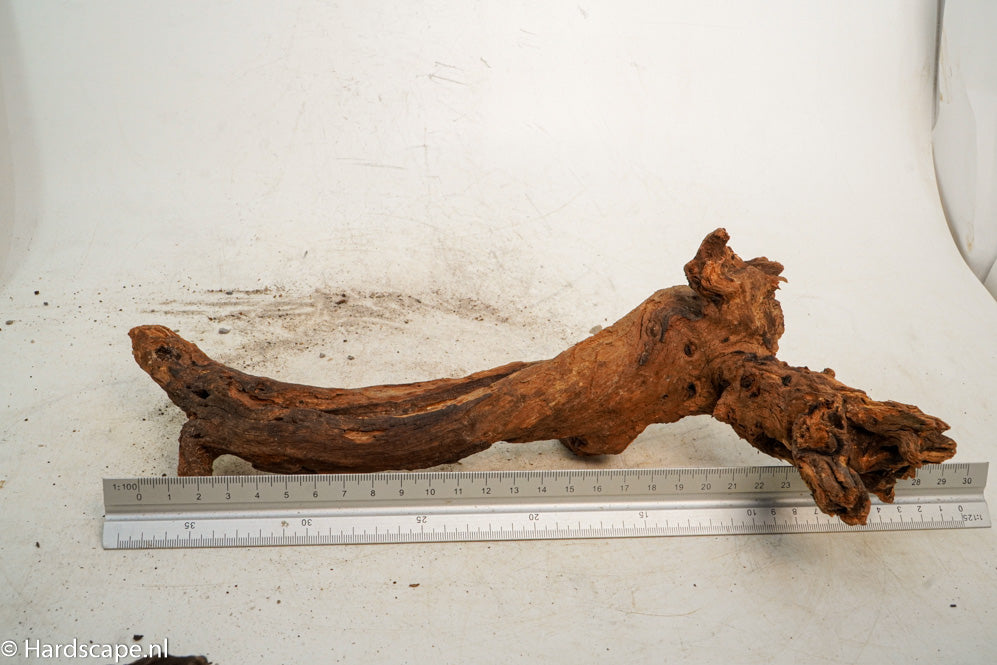 Driftwood S252 - Hardscape.nl